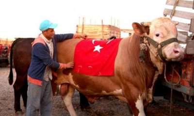 عيد الاضحى 2025 في تركيا