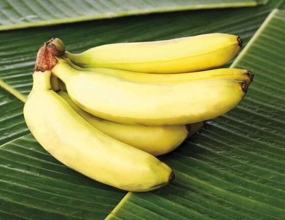 بينها اللحوم.. 5 أطعمة ومشروبات تجنبها مع البيض