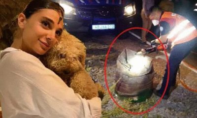 تعليق شاب سوري على مقتل فتاة عشرينية يثير سخط الشارع التركي.. ماذا قال؟