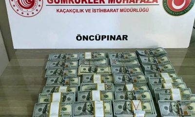 إحباط محاولة تهريب 300 ألف دولار من تركيا إلى سوريا