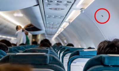 ماذا تعني هذه المثلثات الصغيرة داخل الطائرات؟