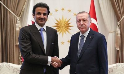 أردوغان وأمير قطر يتبادلان التهاني بحلول عيد الأضحى