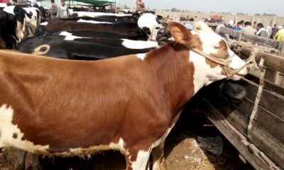 اول ايام عيد الاضحي 2021 في كندا