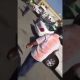 شاهد.. مصريين يعتدون على كويتي في شارع عام يثير غضبا في البلدين (فيديو)