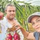يباع الكيلو الواحد ب25 ليرة.. إقبال عربي كبير على هذه الفاكهة التركية