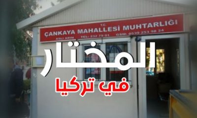 ما هي وظيفة مختار الحي في تركيا ؟