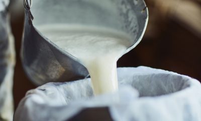 فوائد صادمة لـ”حليب الحمير”
