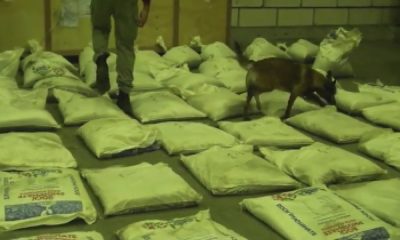 عملية أمنية ضخمة ضد تجار المخدرات الدوليين بإسطنبول (فيديو)