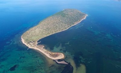 زوجان تركيان يسكنان جزيرة لوحدهما منذ 17 عاما (صور)