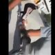 تداول فيديو لضرب مصري بطريقة وحشية في الأردن يثير ضجة كبيرة
