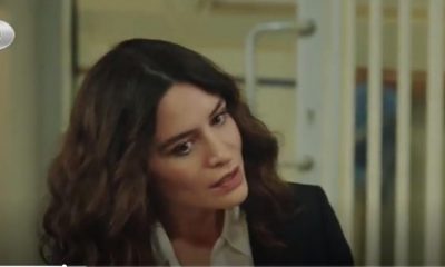 مسلسل حكيم اوغلو الحلقة 24 الرابعة والعشرون مترجمة Hekimoğlu 24