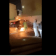 شهامة أم تهور؟ شاب يعرض حياته للخطر استجابة لنداء من سيدة خليجية (فيديو)