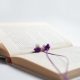 إسطنبول... جامعة السلطان محمد الفاتح تعلن عن تنفيذ مشروع المكتبة الصوتية