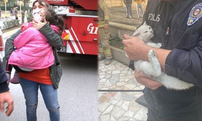 ‫اصابات في اندلاع حريق داخل منزل بسبب قطة إسطنبول(صور)