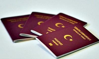 الأوراق المطلوبة للتجنيس في تركيا ، طلب ديلكشة pdf ، رابط تجنيس اللاجئين السوريين