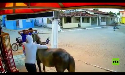 شاهد.. لصا "نينجا" يسرقان متجراً على ظهر حصان