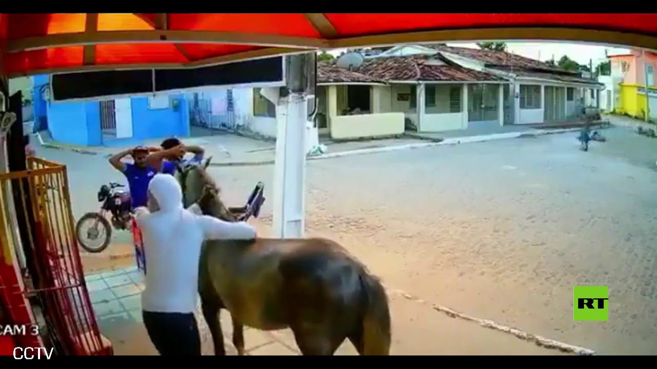 شاهد.. لصا "نينجا" يسرقان متجراً على ظهر حصان