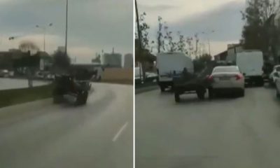 حصان يسبب فوضى في منطقة باشاك شهير بإسطنبول (فيديو)