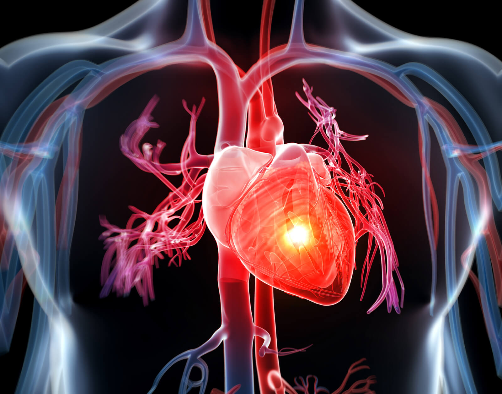 علامات القلب السليم وعلامات القلب المريض