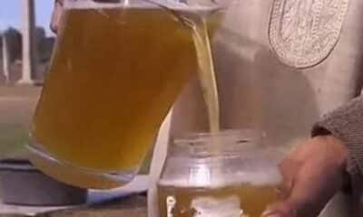 أول مقهى لبول الإبل الطازج في السعودية (شاهد)