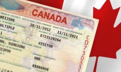 كندا تجري تحديثات حول الهجرة وطلبات اللجوء والجنسية