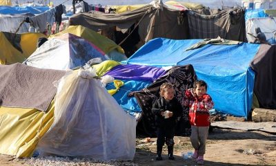 تركيا تعزز حماية الأطفال “بلا جنسية” بـ”نظام الوصاية”... فما هو؟