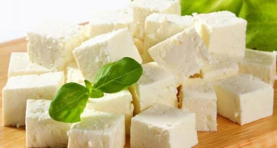 وزارة الزراعة التركية تكشف 12 نوع جبن مغشوش في الأسواق