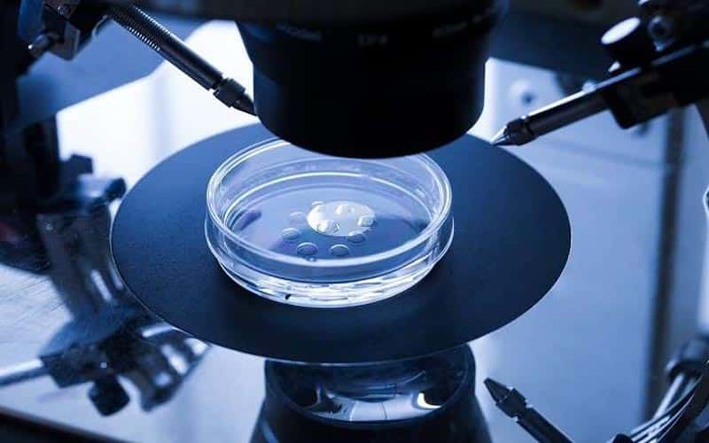 تركيا اليوم هذا ما تفعله لقاحات كورونا بالحيوانات المنوية هذا ما تفعله لقاحات كورونا بالحيوانات المنوية