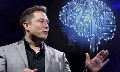 هذا ما سيحدث في 2040.. ماسك يبشر بخبر مخيف!