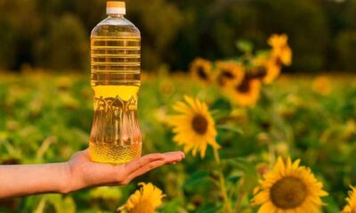 رفع معدل الرسوم الجمركية على واردات زيت عباد الشمس إلى 10 %