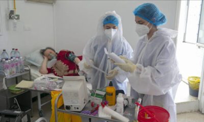 تونس تسجل أول إصابة بالفطر الأسود