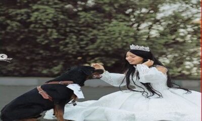 أول تعليق من الإفتاء المصرية على زواج فنانة شهيرة من كلب