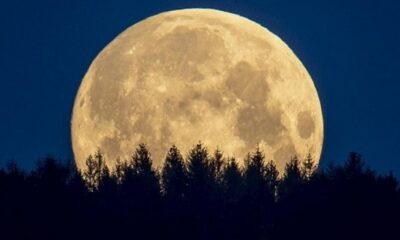 ماذا سيحدث إذا كان القمر أقرب مرتين من الأرض مما هو عليه اليوم؟