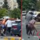 فيديو يثير رعب الأتراك.. مجموعة تقوم بإعدام رجل في وسط الشارع