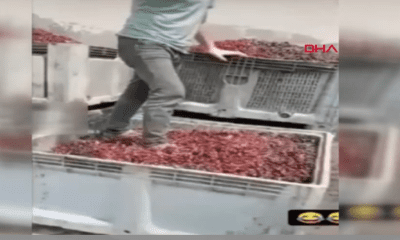 فيديو يثير اشمئزاز الأتراك على مواقع التواصل، وفرض غرامة كبيرة على الشركة