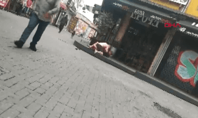 شجار بين سائحين شبه عاريين وسط الشارع في إسطنبول.. فيديو