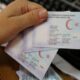 الداخلية التركية تزيل ملف الجنسية الاستثنائية لمئات السوريين