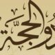 هل يجوز الجمع بين نية القضاء ونية صيام العشر من ذي الحجة