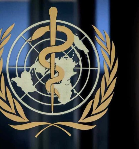 منظمة الصحة العالمية تعلن عن وظائف شاغرة في غزة