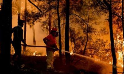 وزير الزراعة التركية يعلن السيطرة على حريق موغلا ميلاس الذي استمر 11 يوما