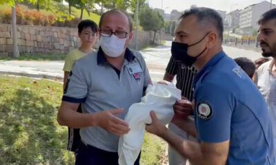 العثور على طفل حديث الولادة بالحديقة في إسطنبول