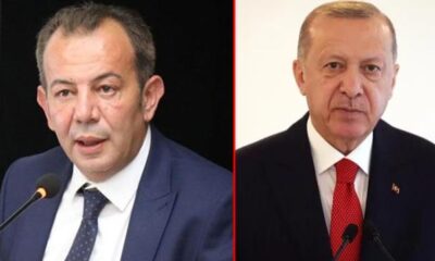 رئيس بلدية بولو يناشد أردوغان بفتح الحدود أمام اللاجئين ويصف صحفي أجنبي بأنه "كلب"