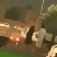 السعودية.. النائب العام يأمر باعتقال شخص اعتدى على امرأة في مكان عام (فيديو)