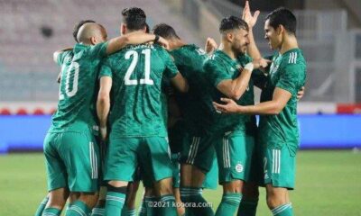 سبب إلغاء مباراة الجزائر وغامبيا اليوم في مباراة ودية