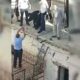 لص سوري.. تنكر بزي امرأة ودخل ليسرق وهذا ماحصل! (فيديو)