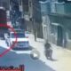 وسائل الإعلام المصرية تنشر فيديو للحظة استدراج مسنة في الشارع وقتلها