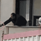 رجل تركي يطلق النار على مستأجر (فيديو)