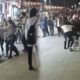 بالفيديو..شجار عنيف بين فتيات في بورصة والسبب؟