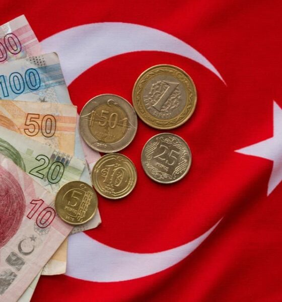 الليرة تتراجع... والعملات المشفرة تشتعل في تركيا
