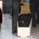 شرطة إسطنبول تعثر على سائحة أجنبية مقتولة، والمشتبه به شاب سوري